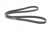 <strong>Пас поліклиновий Peugeot 206/406/806/Expert/Fiat S CONTITECH 6PK1740 (фото 5)</strong>