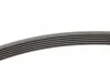<strong>Ремінь поліклиновий Ford Tranzit Connect 1,8d 07> ContiTech CONTITECH 6PK1743 (фото 2)</strong>