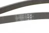 <strong>Ремінь поліклиновий Ford Tranzit Connect 1,8d 07> ContiTech CONTITECH 6PK1743 (фото 3)</strong>