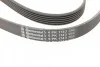 <strong>Ремінь поліклиновий Ford Tranzit Connect 1,8d 07> ContiTech CONTITECH 6PK1743 (фото 4)</strong>