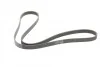 <strong>Ремінь поліклиновий Ford Tranzit Connect 1,8d 07> ContiTech CONTITECH 6PK1743 (фото 5)</strong>