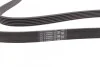 <strong>Пас поліклиновий Renault Clio/Laguna/Megane 1.4/1. CONTITECH 6PK1750 (фото 2)</strong>