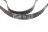 <strong>Пас поліклиновий Renault Clio/Laguna/Megane 1.4/1. CONTITECH 6PK1750 (фото 3)</strong>