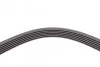 <strong>Пас поліклиновий Renault Clio/Laguna/Megane 1.4/1. CONTITECH 6PK1750 (фото 4)</strong>