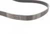 <strong>Пас поліклиновий MB W202/203/VW/Audi 2.4/2.8i CONTITECH 6PK1760 (фото 2)</strong>
