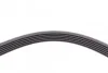 <strong>Пас поліклиновий MB W202/203/VW/Audi 2.4/2.8i CONTITECH 6PK1760 (фото 3)</strong>