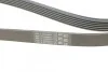 <strong>Пас поліклиновий VW T4 2.4D/2.5TDI 90-03/Ford Fies CONTITECH 6PK1767 (фото 3)</strong>
