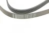 <strong>Пас поліклиновий VW T4 2.4D/2.5TDI 90-03/Ford Fies CONTITECH 6PK1767 (фото 4)</strong>