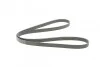 <strong>Пас поліклиновий VW T4 2.4D/2.5TDI 90-03/Ford Fies CONTITECH 6PK1767 (фото 5)</strong>