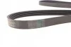 <strong>Пас поліклиновий BMW 3 (E90) 3.2D 07-11 / Ford Transit CONTITECH 6PK1780 (фото 3)</strong>
