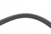 <strong>Пас поліклиновий BMW 3 (E90) 3.2D 07-11 / Ford Transit CONTITECH 6PK1780 (фото 4)</strong>