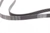 <strong>Пас поліклиновий Renault Trafic/Master/Laguna/Opel CONTITECH 6PK1795 (фото 2)</strong>