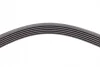 <strong>Пас поліклиновий Renault Trafic/Master/Laguna/Opel CONTITECH 6PK1795 (фото 3)</strong>