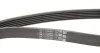 <strong>Комплект пасу поліклинового Opel Vivaro/Renault T CONTITECH 6PK1795K1 (фото 3)</strong>
