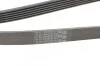 <strong>Ремінь поліклиновий CONTITECH 6PK1800 (фото 3)</strong>
