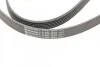 <strong>Ремінь поліклиновий CONTITECH 6PK1800 (фото 4)</strong>