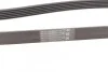 <strong>Ремінь генератора поліклиновий CONTITECH 6PK1805 (фото 2)</strong>