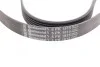 <strong>Пас поліклиновий Fiat Doblo 1.9D/JTD 01- (+AC) CONTITECH 6PK1815 (фото 2)</strong>
