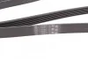 <strong>Пас поліклиновий Fiat Doblo 1.9D/JTD 01- (+AC) CONTITECH 6PK1815 (фото 3)</strong>