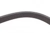 <strong>Пас поліклиновий Fiat Doblo 1.9D/JTD 01- (+AC) CONTITECH 6PK1815 (фото 4)</strong>