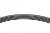 <strong>Пас поліклиновий на Renault Laguna III 1.6 16V 07-15 CONTITECH 6PK1822EXTRA (фото 2)</strong>