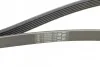 <strong>Пас поліклиновий на Renault Laguna III 1.6 16V 07-15 CONTITECH 6PK1822EXTRA (фото 3)</strong>