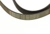 <strong>Пас поліклиновий на Renault Laguna III 1.6 16V 07-15 CONTITECH 6PK1822EXTRA (фото 4)</strong>