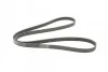 <strong>Пас поліклиновий на Renault Laguna III 1.6 16V 07-15 CONTITECH 6PK1822EXTRA (фото 5)</strong>