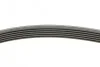 <strong>Ремінь поліклиновий Mitsubishi Outlander 2,0i 03>07 ContiTech CONTITECH 6PK1830 (фото 2)</strong>