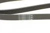 <strong>Ремінь поліклиновий Mitsubishi Outlander 2,0i 03>07 ContiTech CONTITECH 6PK1830 (фото 4)</strong>