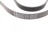 <strong>Пас поліклиновий Renault Master 2.2/2.5 dCi 00- (6) CONTITECH 6PK1836 (фото 3)</strong>