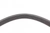 <strong>Пас поліклиновий Renault Master 2.2/2.5 dCi 00- (6) CONTITECH 6PK1836 (фото 4)</strong>