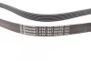 <strong>Поліклиновий ремінь CONTITECH 6PK1847EXTRA (фото 2)</strong>