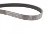 <strong>Ремінь поліклиновий Mazda 3 1,6i 09> ContiTech CONTITECH 6PK1863 (фото 2)</strong>
