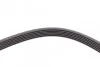 <strong>Ремінь поліклиновий Mazda 3 1,6i 09> ContiTech CONTITECH 6PK1863 (фото 3)</strong>