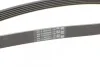 <strong>Ремінь поліклиновий Mitsubishi Outlander 2,4i 03>06, Grandis 2,4i 05>11 ContiTech CONTITECH 6PK1880 (фото 3)</strong>