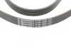 <strong>Ремінь поліклиновий Mitsubishi Outlander 2,4i 03>06, Grandis 2,4i 05>11 ContiTech CONTITECH 6PK1880 (фото 4)</strong>