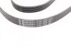 <strong>Ремінь поліклиновий Chevrolet Evanda 2,0i 05> ContiTech CONTITECH 6PK1885 (фото 3)</strong>