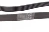 <strong>Пас поліклиновий Ford Focus 1.4/1.6 98-05/R CONTITECH 6PK1893 (фото 2)</strong>
