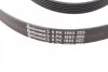 <strong>Пас поліклиновий Ford Focus 1.4/1.6 98-05/R CONTITECH 6PK1893 (фото 3)</strong>