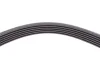 <strong>Пас поліклиновий Ford Focus 1.4/1.6 98-05/R CONTITECH 6PK1893 (фото 4)</strong>