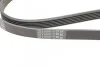 <strong>Пас поліклиновий VW T4 2.0i 91-03/Opel Vectra 2.2 CONTITECH 6PK1900 (фото 3)</strong>