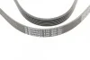 <strong>Пас поліклиновий VW T4 2.0i 91-03/Opel Vectra 2.2 CONTITECH 6PK1900 (фото 4)</strong>