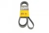 <strong>Ремінь поліклиновий MB E220CDI 10> ContiTech CONTITECH 6PK2000 (фото 1)</strong>