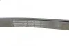 <strong>Ремінь поліклиновий MB E220CDI 10> ContiTech CONTITECH 6PK2000 (фото 4)</strong>