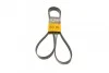 <strong>Ремінь поліклиновий Mazda 3 1,6i 03>07 ContiTech CONTITECH 6PK2013 (фото 1)</strong>