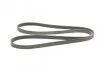 <strong>Ремінь поліклиновий Mazda 3 1,6i 03>07 ContiTech CONTITECH 6PK2013 (фото 5)</strong>