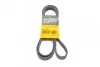<strong>Пас поліклиновий MB Sprinter OM601/602 (PS) CONTITECH 6PK2030 (фото 1)</strong>