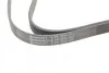 <strong>Пас поліклиновий MB Sprinter OM601/602 (PS) CONTITECH 6PK2030 (фото 4)</strong>
