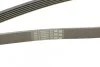 <strong>Ремінь поліклиновий CONTITECH 6PK2035 (фото 4)</strong>